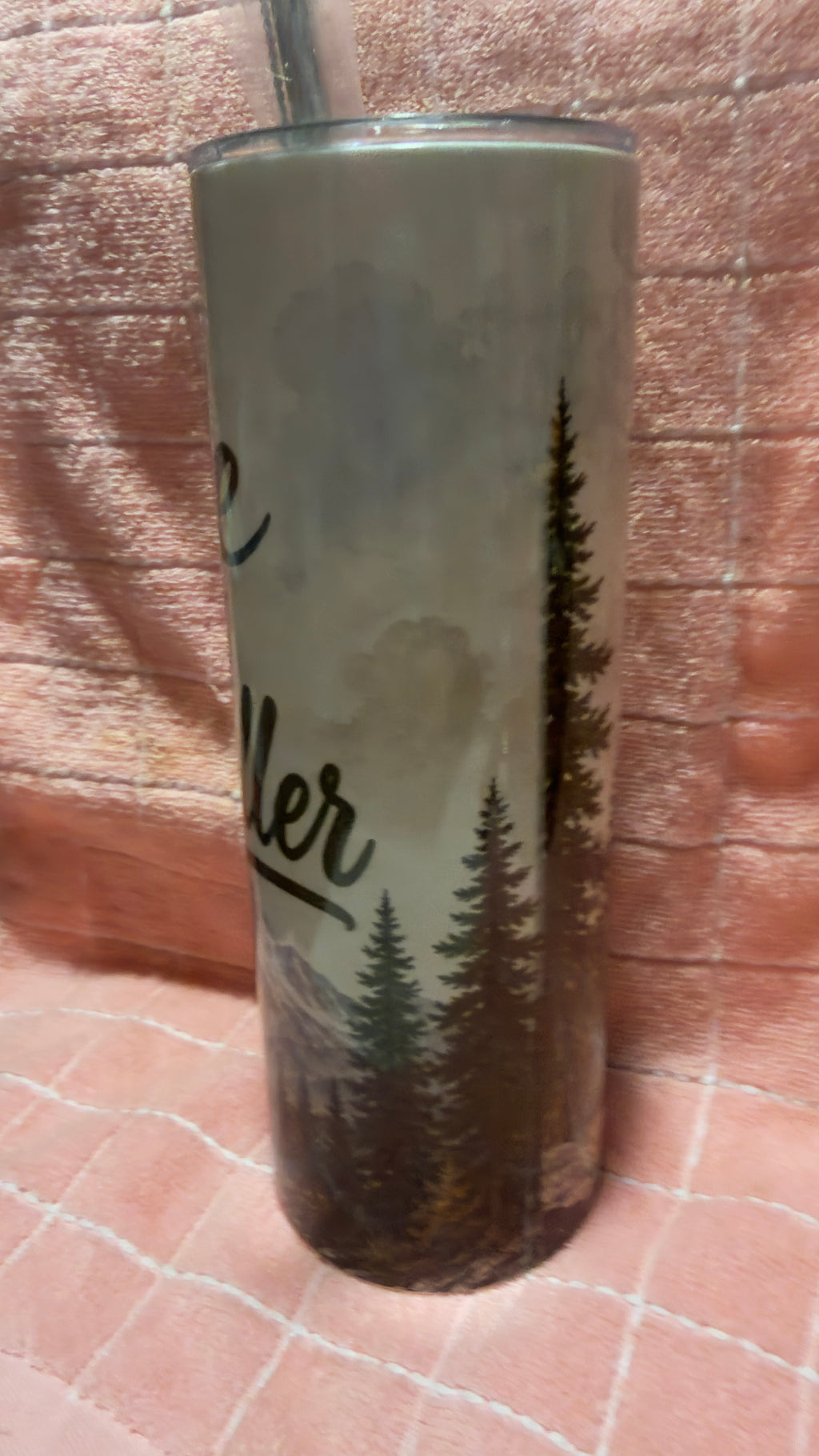 TAKE ME TO BOBKAT HOLLER 20 OZ  SKINNY TUMBLER