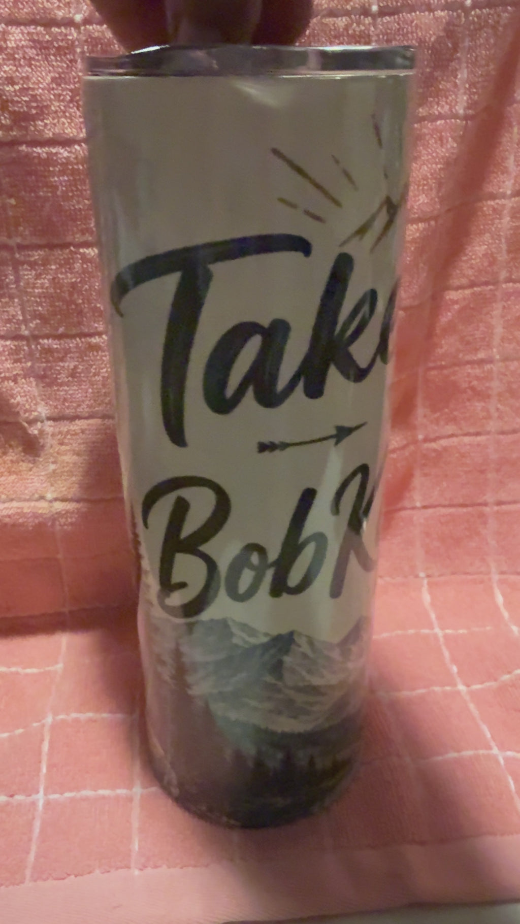 TAKE ME TO BOBKAT HOLLER 20 OZ  SKINNY TUMBLER